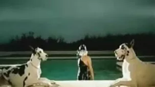 ఖైదీలు