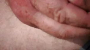 ఎల్వ్స్
