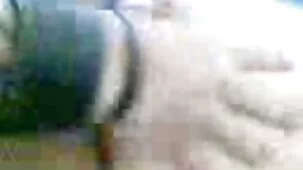బొమ్మలు