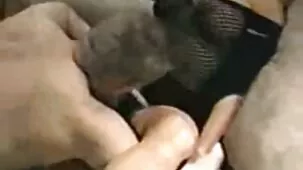 పెదవులు